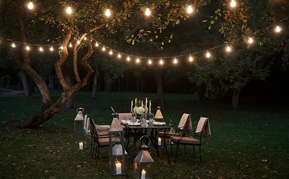 Discover how our landscape lighting service adds value, style, and security to your property.